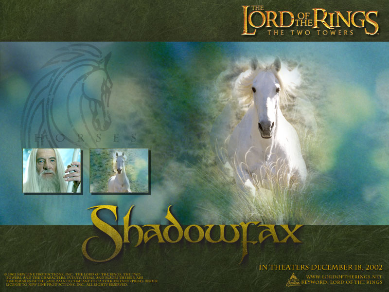shadowfax.jpg